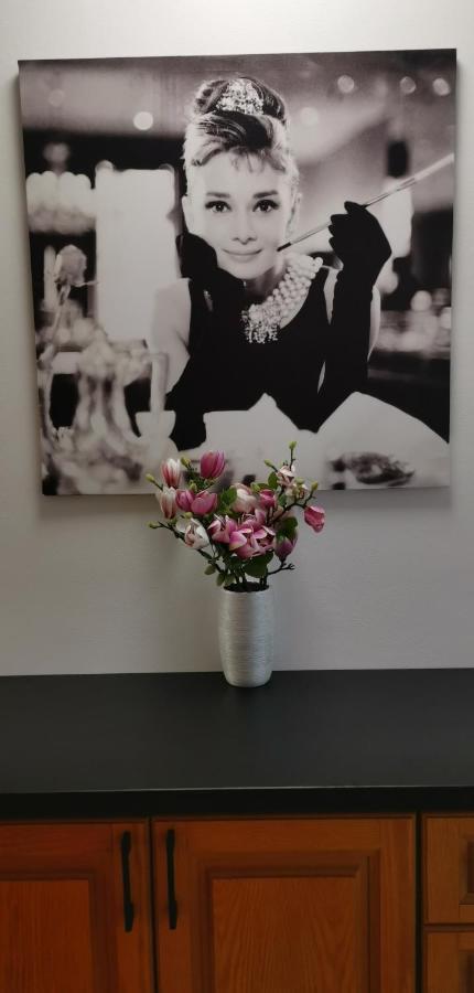 Marilyn Prijemny 3 Izbovy Byt V Raci Raca Exteriér fotografie